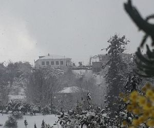 BIS-A Guesthouse Makhindzhauri Georgia