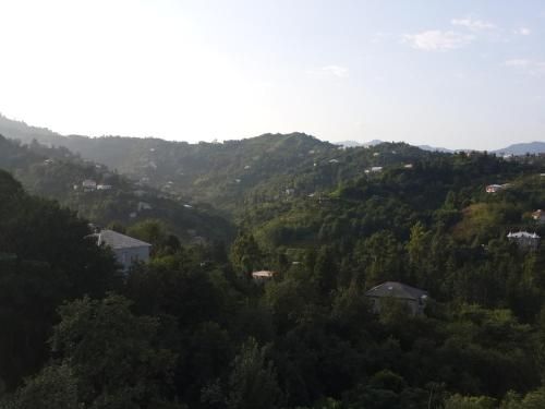 صورة الفندق 24