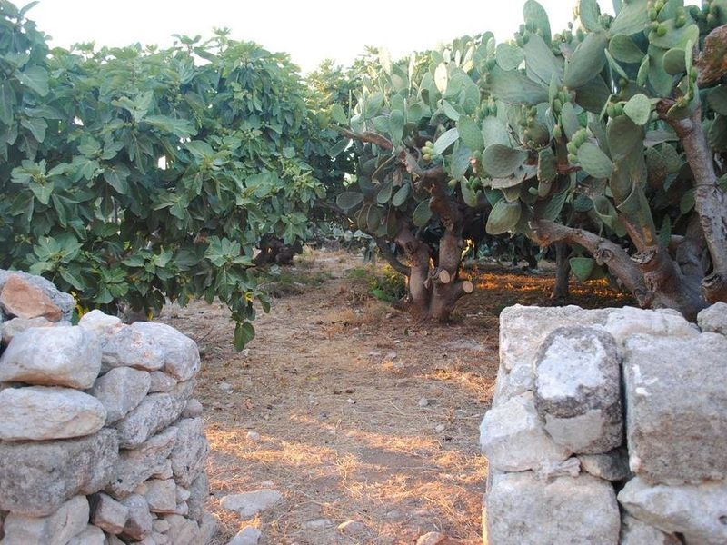 صورة الفندق 16