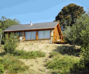Cabañas Solo Por Hoy Villa Pehuenia Argentina