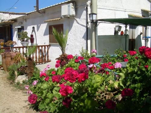 صورة الفندق 1