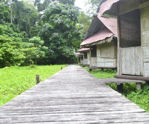 The Flying Elephant Resort-Havelock Island Havelock Island India