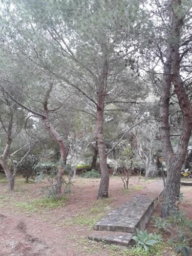 صورة الفندق 9