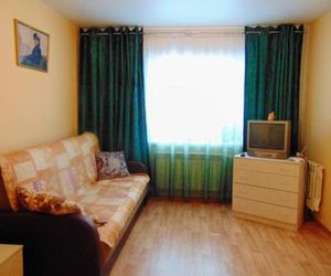 Apartment on 1-ya Pionerskaya 88G Vladimir Russia