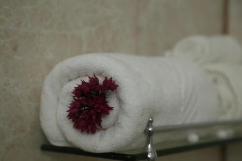 صورة الفندق 18