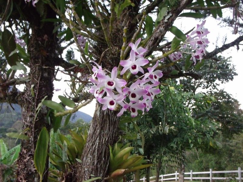 صورة الفندق 15
