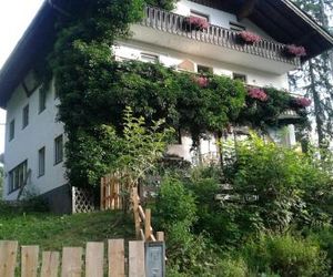 Pension Adlerhorst Ramsau am Dachstein Austria