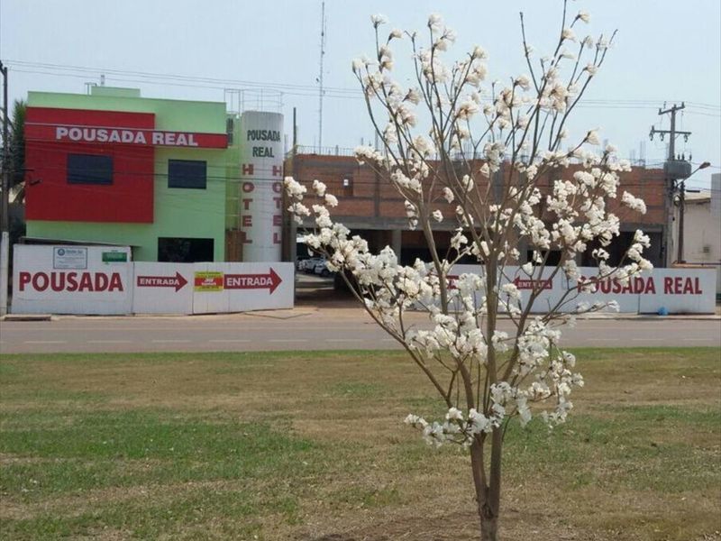 صورة الفندق 22