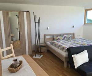 Appartement Kristina Schladming Austria