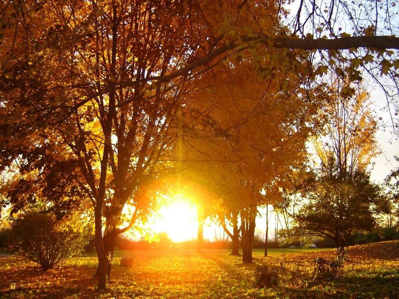 صورة الفندق 17
