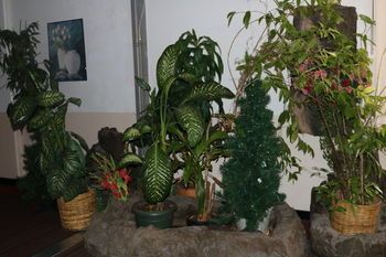 صورة الفندق 15