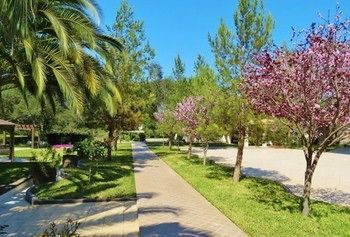 صورة الفندق 17