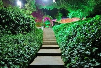 صورة الفندق 22