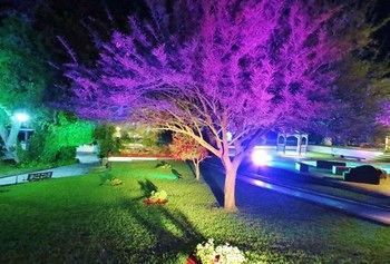 صورة الفندق 24