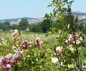 Casa Nonna Jole Assisi Italy