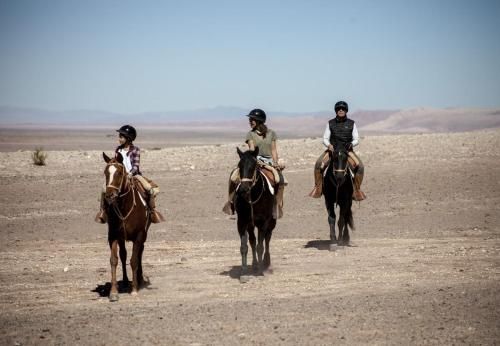 صورة الفندق 19