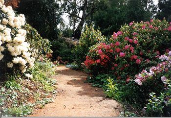 صورة الفندق 18