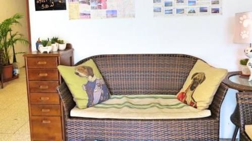 صورة الفندق 13