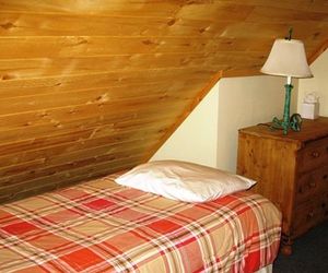Elkhorn Log Cabins Ouray United States