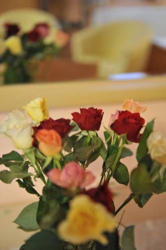صورة الفندق 16