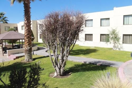 Hotel Photo 24