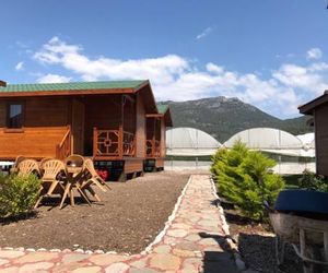 Ada Sedir Home Adrasan Turkey