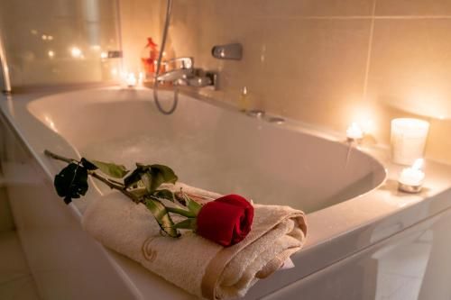 صورة الفندق 24