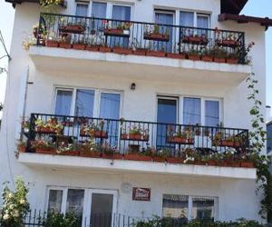 Casa Emilia Vatra Dornei Romania