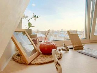 Apartment on Lenina 8