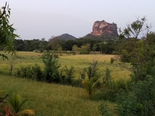 صورة الفندق 15