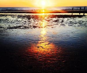 Endless Summer Beach Apartments Zandvoort Netherlands