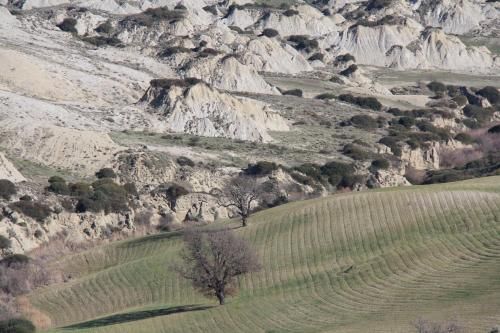 صورة الفندق 18