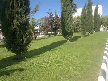 صورة الفندق 14