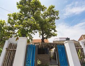 Cashew Tree Bungalow Hoi An Vietnam