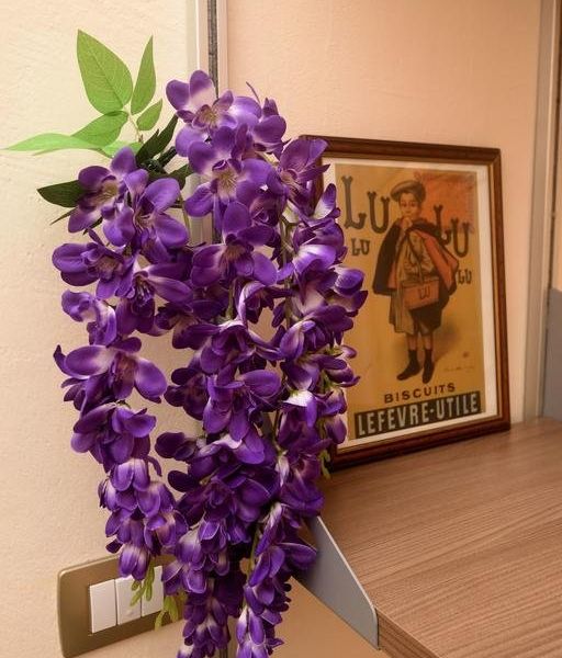 صورة الفندق 17