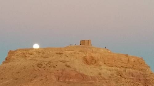 صورة الفندق 24