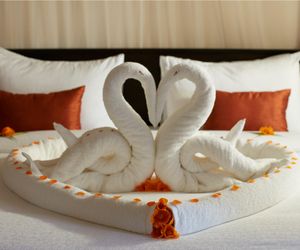 Seerock The Kings Domain Hotel Habarana Sri Lanka