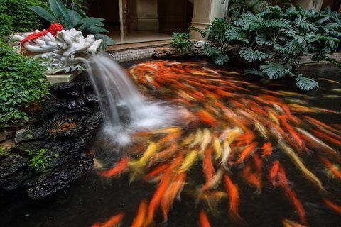 صورة الفندق 20