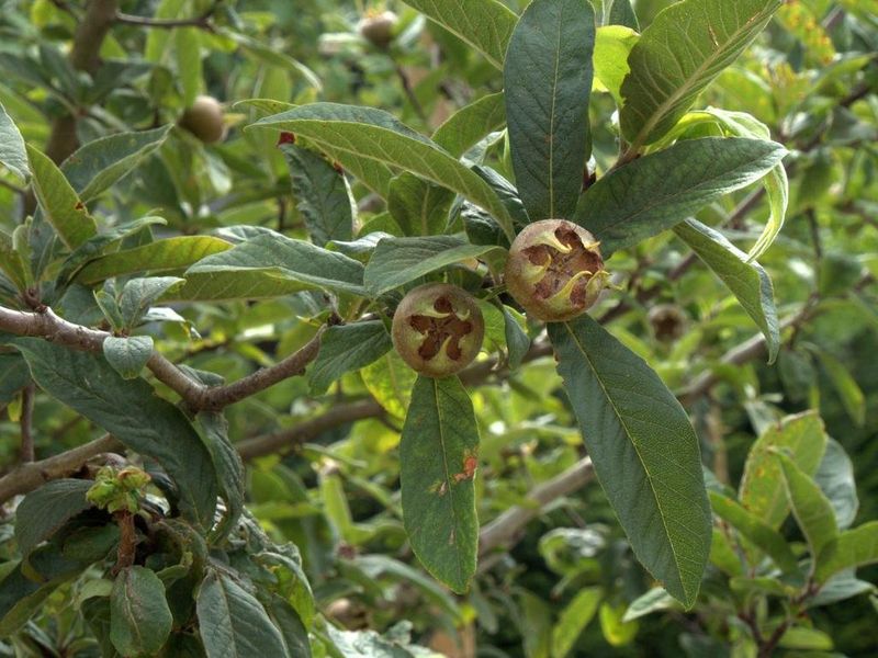 صورة الفندق 22
