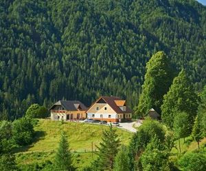 Tourist farm Gradišnik Solcava Slovenia