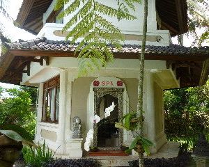 Panorama Hotel Ubud Indonesia