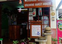 Отзывы Orchids Guesthouse, 1 звезда