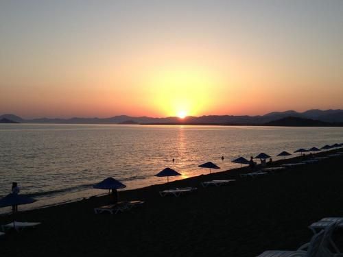 صورة الفندق 8
