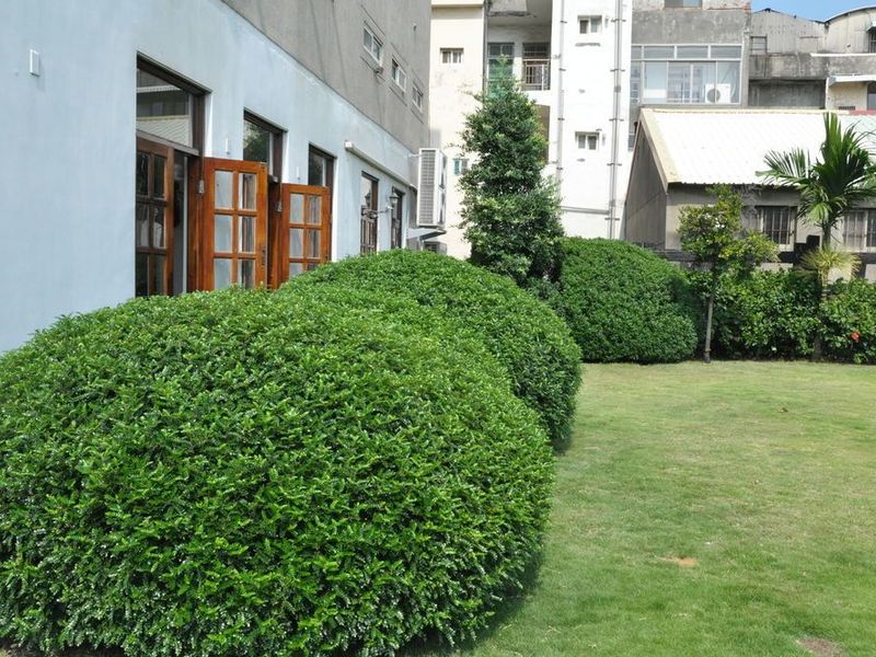 صورة الفندق 21