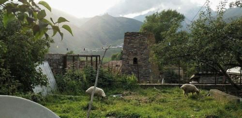 صورة الفندق 7