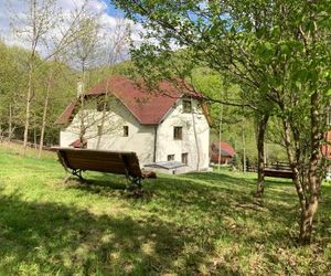 Alina House Sovata Romania