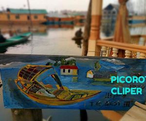 Houseboat Picorot Cliper Srinagar India