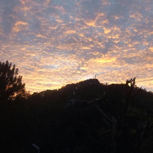 صورة الفندق 1