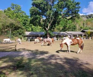 Ranch Black Horse Les Trois Ilets Martinique