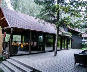 Tree House Chisinau Moldova